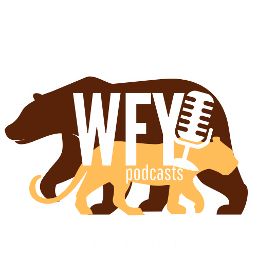 WFY Podcast Logo